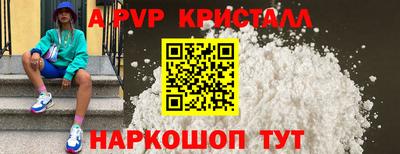 шишки Владимир