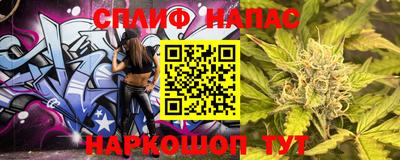 шишки Владимир