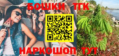 шишки Владимир