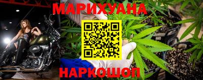 шишки Владимир