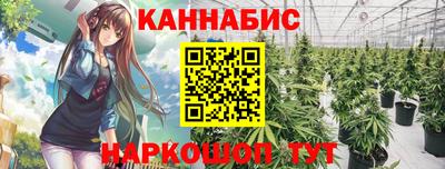 шишки Владимир