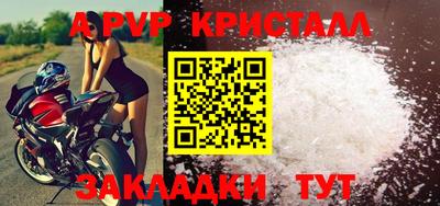 шишки Владимир
