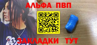 шишки Владимир
