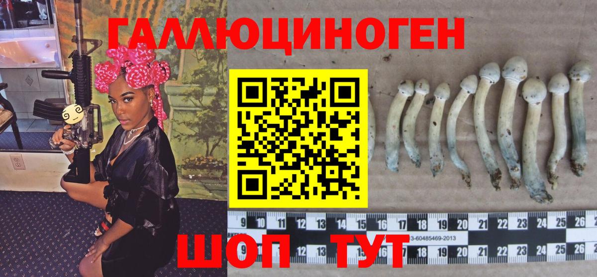 Галлюциногенные грибы Psilocybine cubensis Димитровград